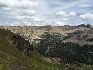 IMG 1637 (1)