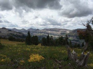 IMG 1638 (1)