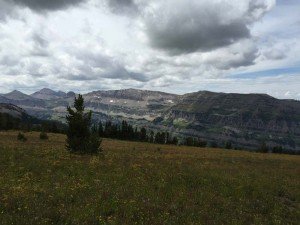 IMG 1640 (1)