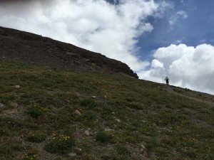 IMG 1642 (1)