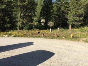 IMG 1655 (1)