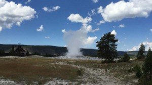 IMG 1659 (1)