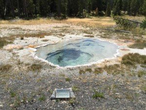 IMG 1672 (1)