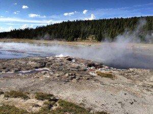 IMG 1716 (1)