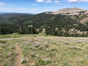 2017 Tushars Half Marathon