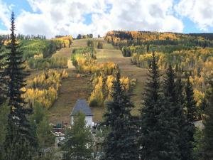 IMG 2516