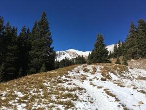 IMG 2781