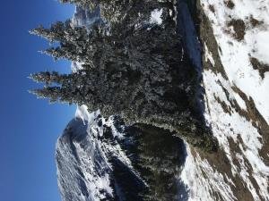 IMG 2786