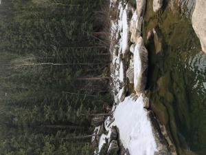 IMG 2817