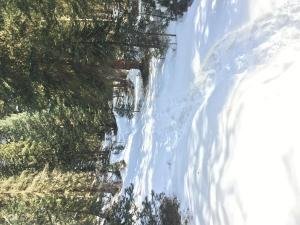 IMG 2943