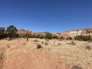 IMG 7761