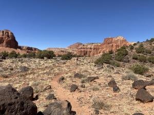IMG 7762