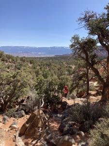 IMG 7767