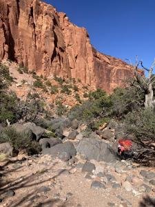 IMG 7772