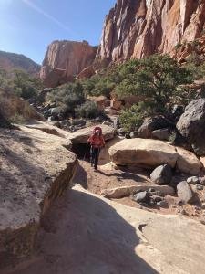 IMG 7774
