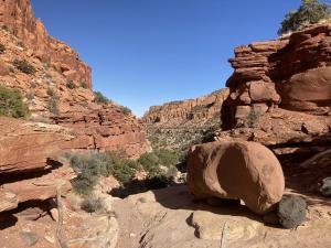 IMG 7776
