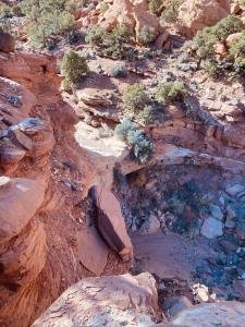 IMG 7779