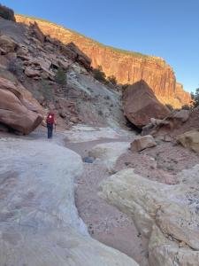 IMG 7780