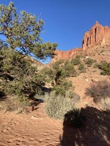 IMG 7782