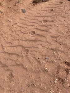 IMG 7785