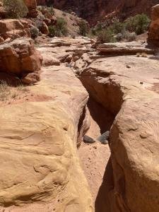 IMG 7787