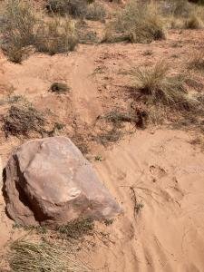 IMG 7791
