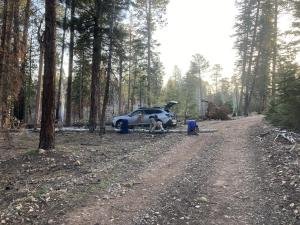 IMG 7873