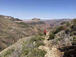 IMG 7879