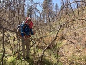 IMG 7881