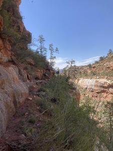 IMG 7886