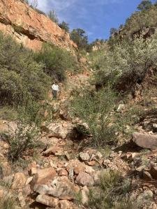 IMG 7887