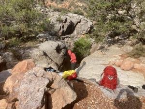 IMG 7894