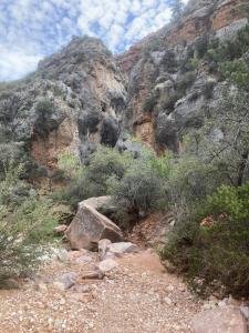 IMG 7895