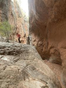 IMG 7897