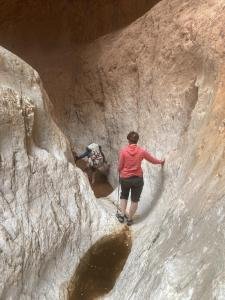 IMG 7899