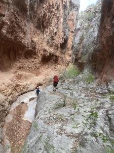 IMG 7901