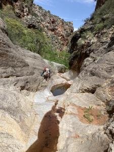 IMG 7914