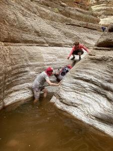 IMG 7918