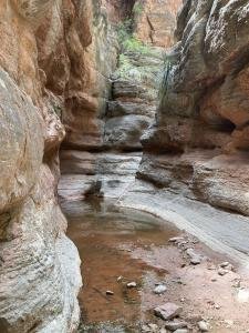 IMG 7919
