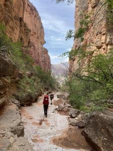 IMG 7927