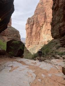 IMG 7932