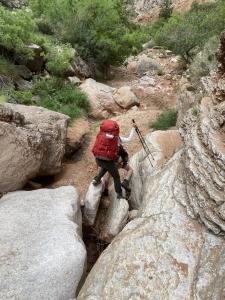 IMG 7935