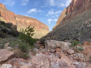 IMG 7937