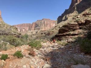 IMG 7939