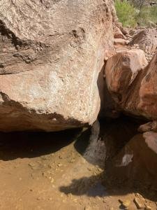 IMG 7941