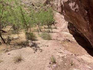 IMG 7943