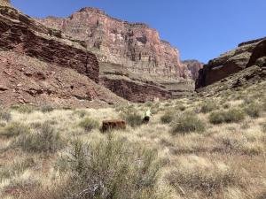 IMG 7945