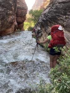 IMG 7951