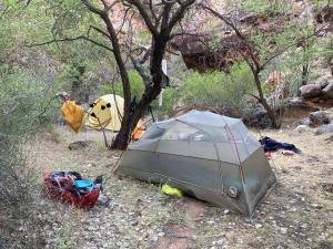 IMG 7954