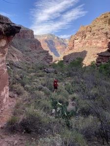 IMG 7959